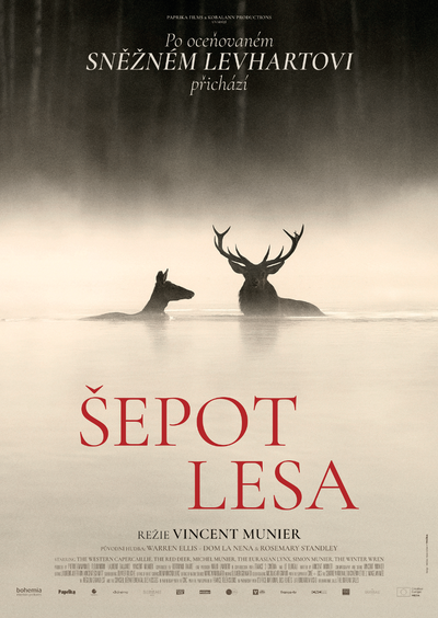 Event poster:  Pieśni lasu